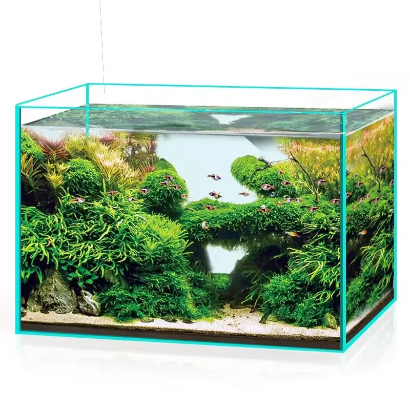 Aquarium Marine Clearwater - 超透明ガラス水槽 カスタムサイズ対応 淡水・海水両用
