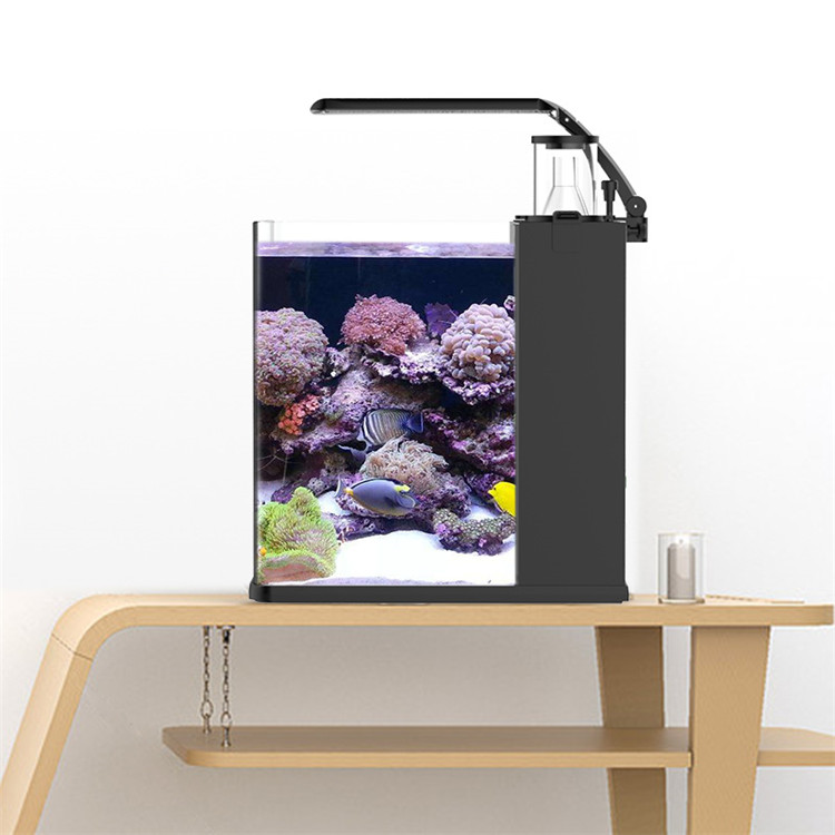 Aquarium Marine Clearwater - スカイヌオ ウルトラクリアガラス ミニ海水海洋水槽 メディア プラスチック製水槽 25ガロン