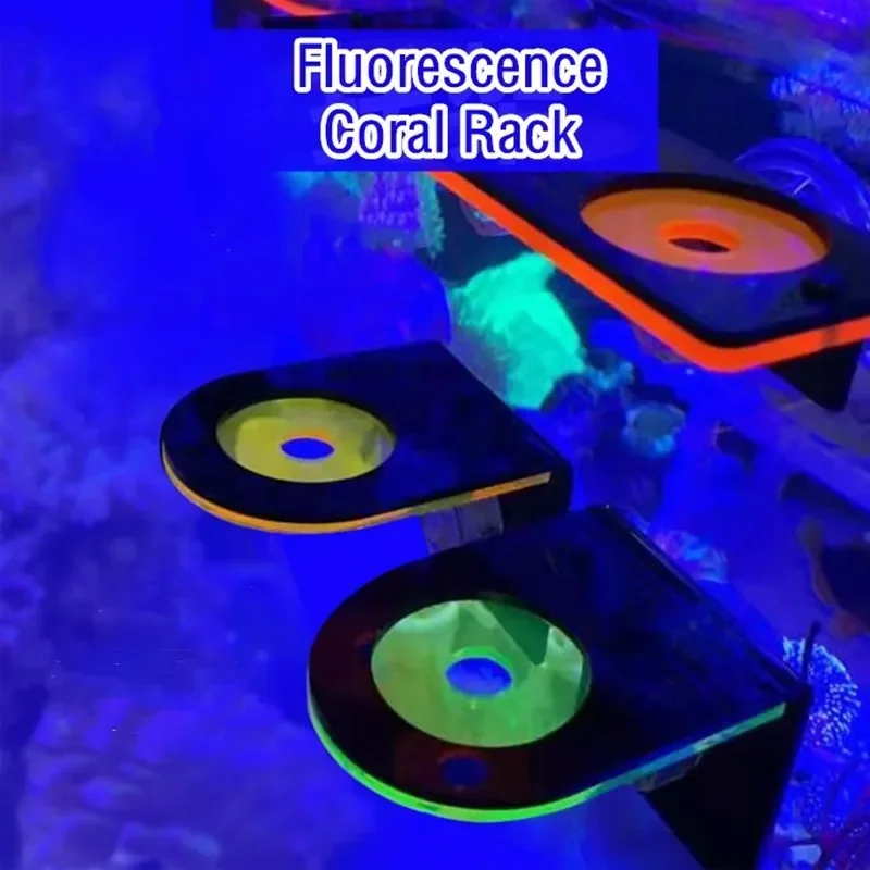 Aquarium Marine Fishes - 水槽用アクリル製蛍光サンゴブラケットホルダー SPSブラケットツール マリンリーフタンク造景水槽アクセサリー