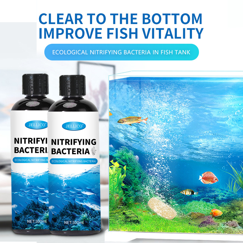 Aquarium Marine Clearwater - 300ml 窒化細菌水槽浄水器 魚の排泄物を分解し、淡水・海水タンクの水を浄化します