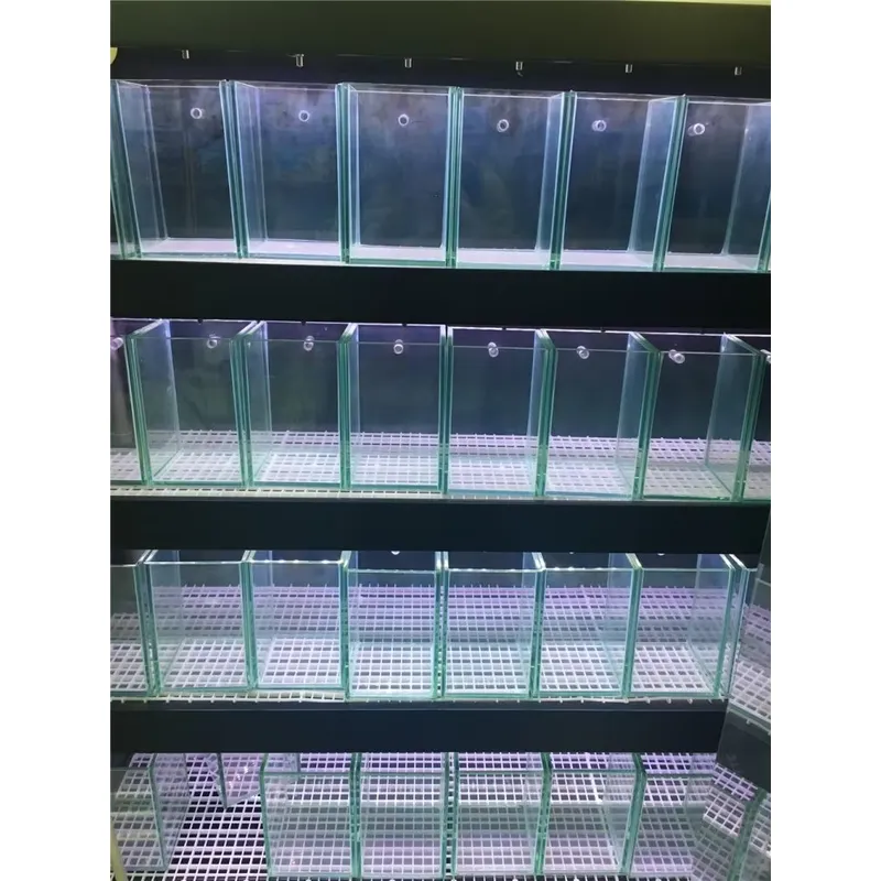 超透明ガラス水槽 カスタムサイズ対応 淡水・海水両用 - Aquarium Marine Clearwater のレビューと価格