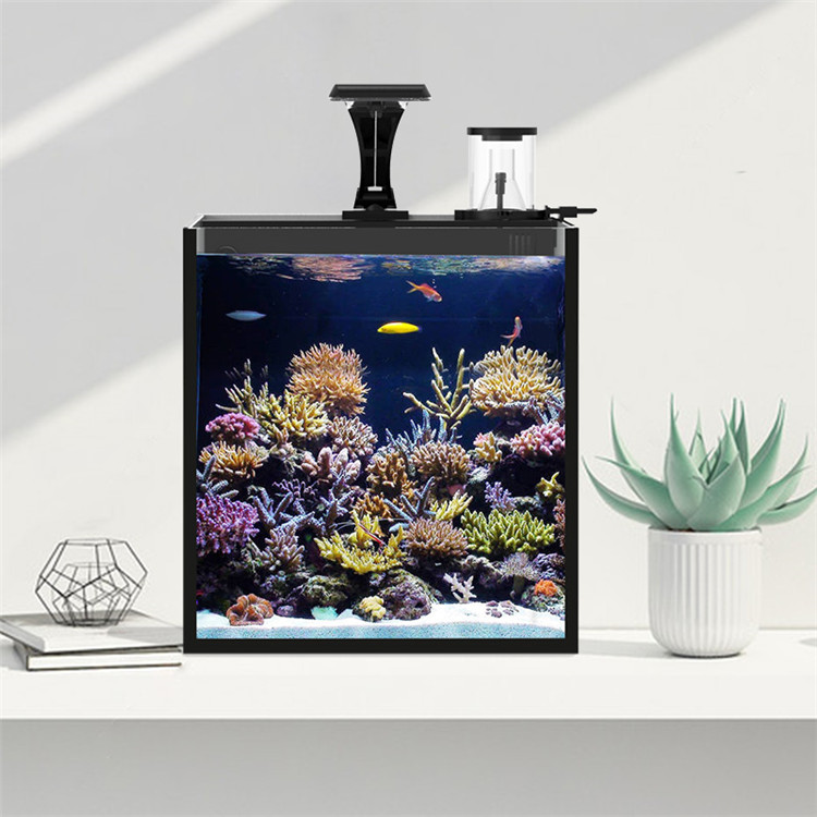 スカイヌオ ウルトラクリアガラス ミニ海水海洋水槽 メディア - Aquarium Marine Clearwater のレビューと価格