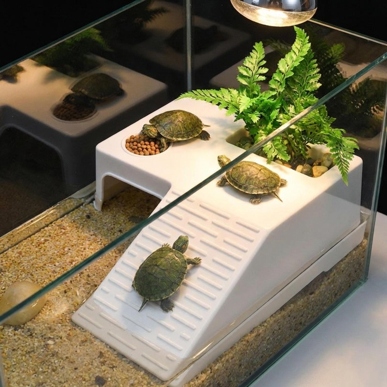 カメ休憩用日光浴プラットフォーム休憩テラス装飾水槽アクセサリ - Marine Aquarium Hobby のレビューと価格