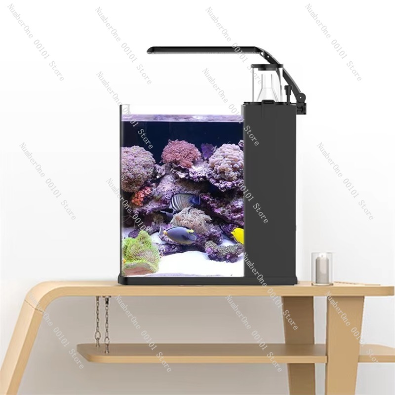 超透明ガラス製ミニ海水水槽、海洋ナノサンゴ礁用 - Aquarium Marine Clearwater のレビューと価格