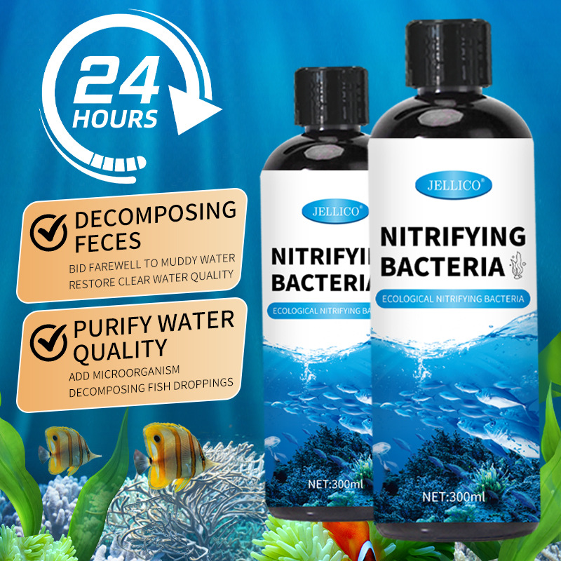 300ml 窒化細菌水槽浄水器 魚の排泄物を分解し、淡水・海 - Aquarium Marine Clearwater のレビューと価格