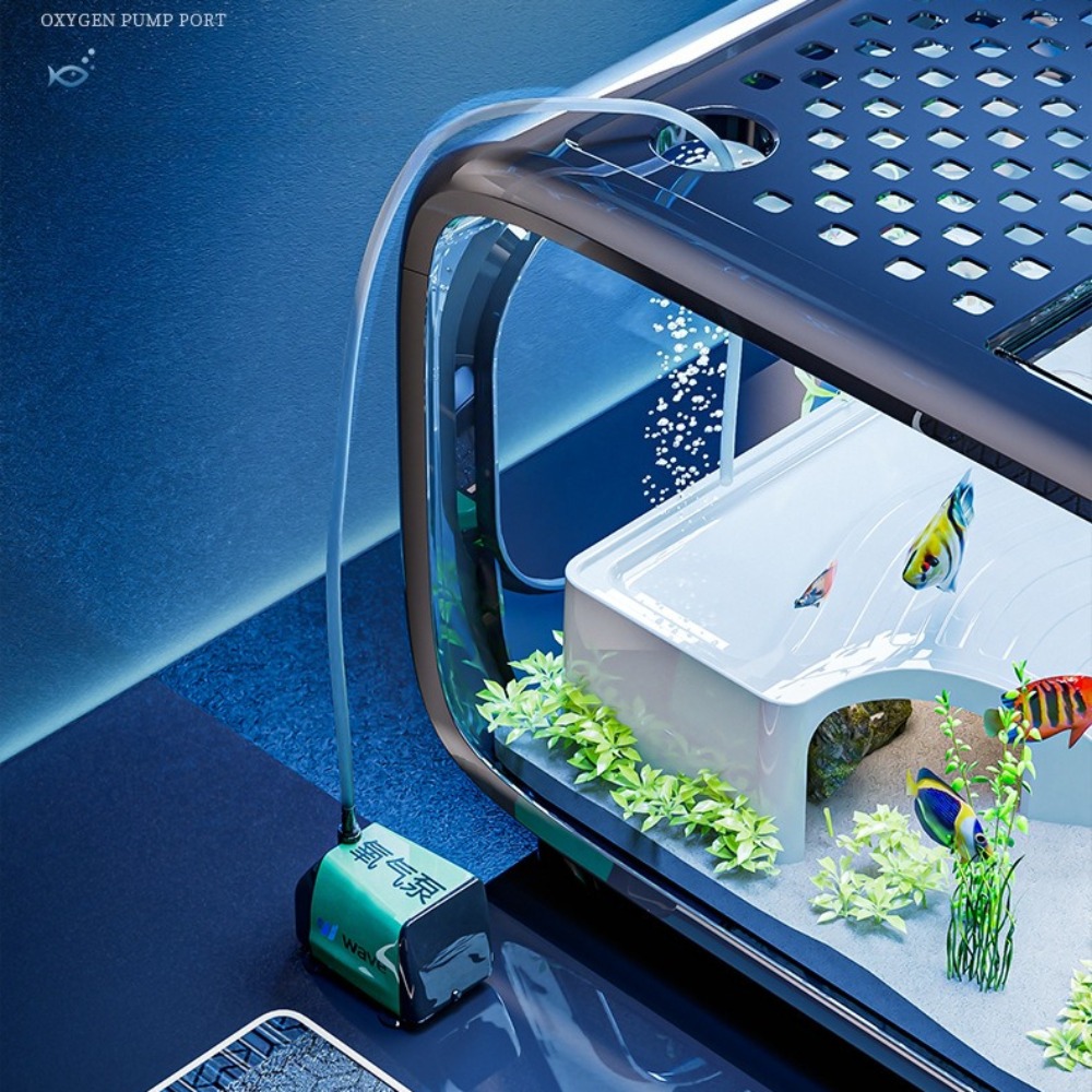 透明な高級水槽、耐久性のあるリビングルーム装飾、小型金魚水槽 - Marine Aquarium Hobby のレビューと価格