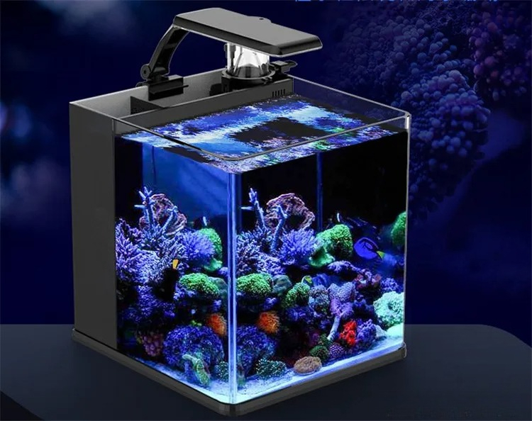 超透明ガラス製ミニ海水魚水槽（海洋用） - Aquarium Marine Clearwater のレビューと価格