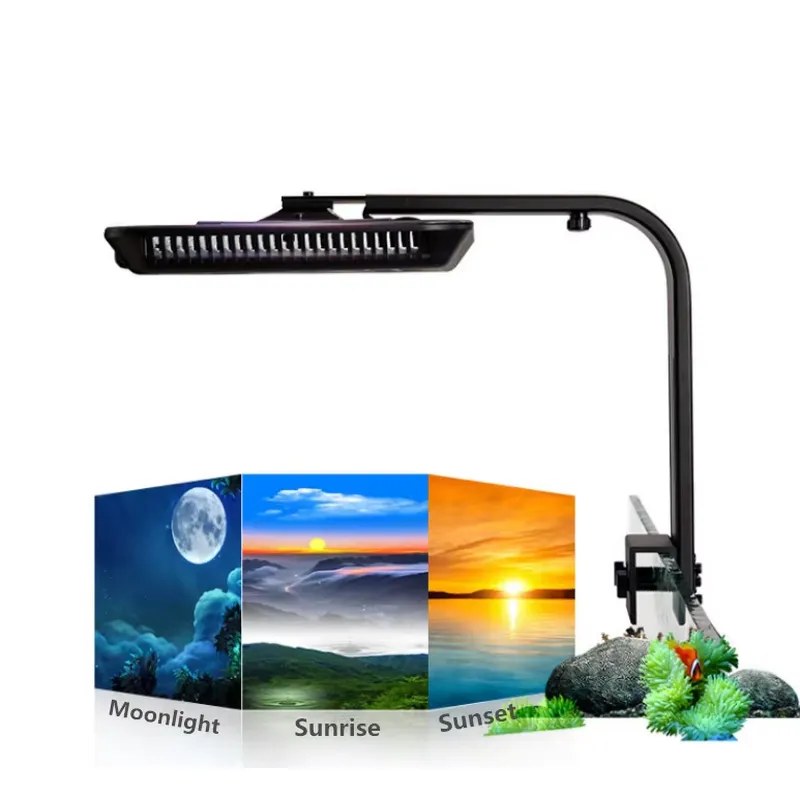 90W RGBコーラルライト、海洋LEDリーフアクアリウム用 - Marine Aquarium Hours のレビューと価格